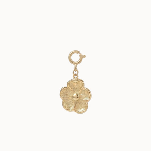 Charm Blume