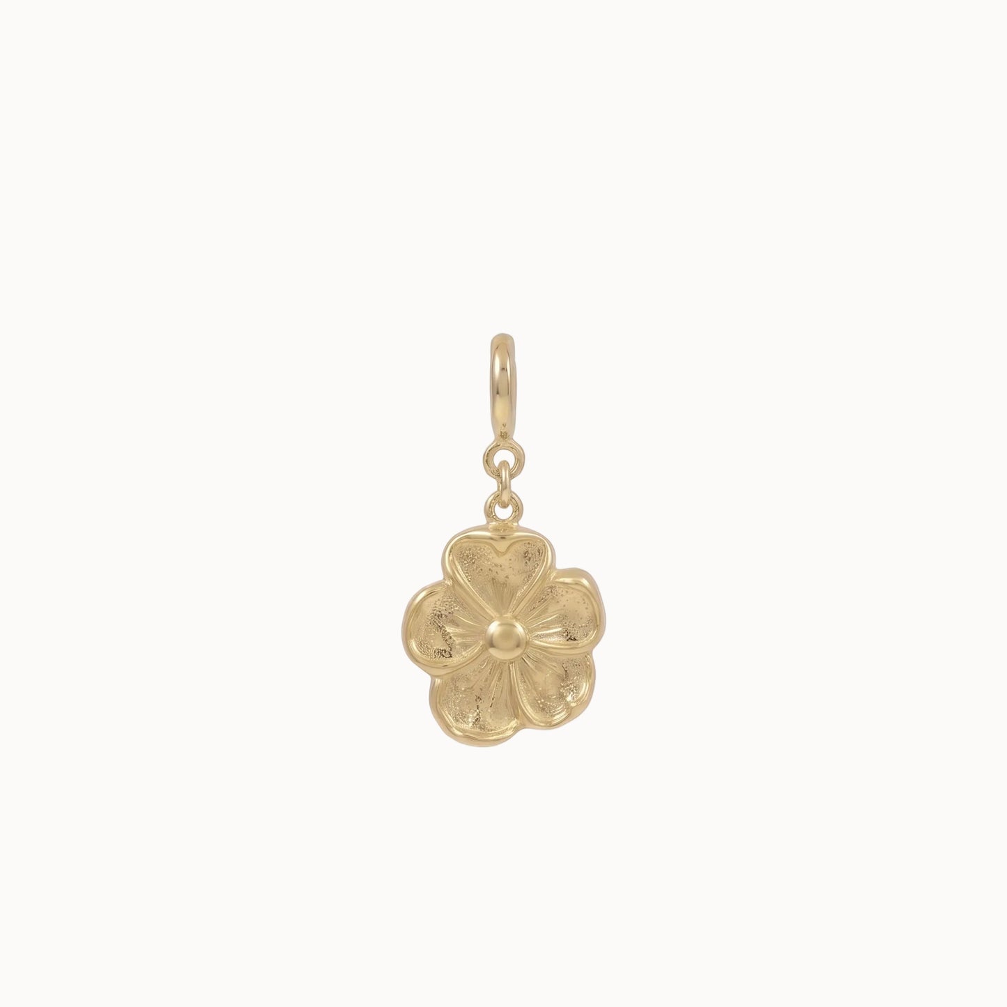 Charm Blume