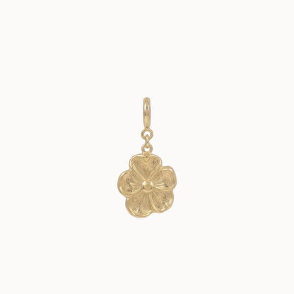 Charm Blume